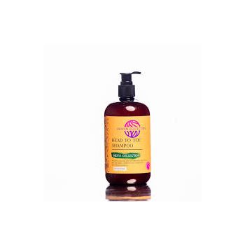 Design Perfection Head To Toe Shampoo [Men's Collection] 532ml